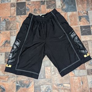 Nike Lebron Lion shorts